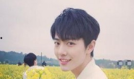 娱乐圈爆料肖战恋情的人,娱乐圈新恋情引发热议